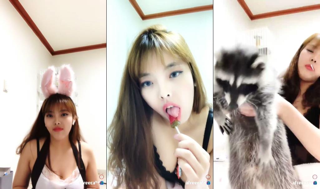 KOREAN_BJ-KBJ202102105